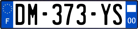 DM-373-YS