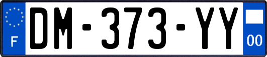 DM-373-YY