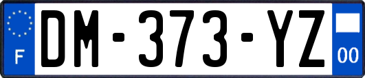 DM-373-YZ