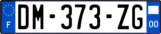 DM-373-ZG