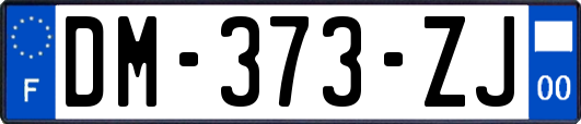 DM-373-ZJ