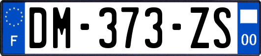 DM-373-ZS