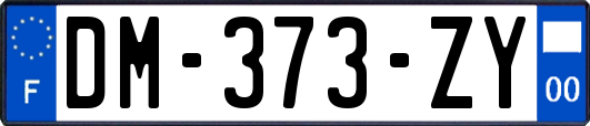 DM-373-ZY