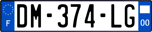 DM-374-LG