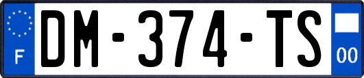 DM-374-TS