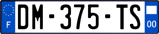 DM-375-TS
