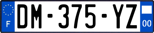 DM-375-YZ