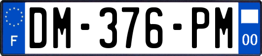 DM-376-PM