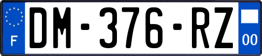 DM-376-RZ