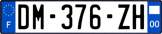 DM-376-ZH