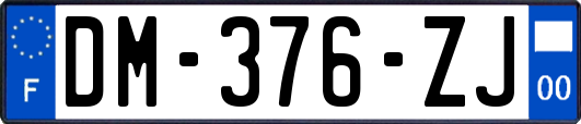 DM-376-ZJ