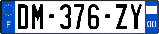 DM-376-ZY