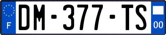 DM-377-TS