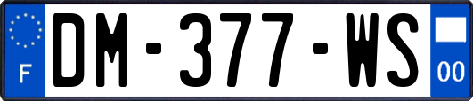 DM-377-WS