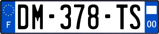 DM-378-TS