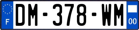 DM-378-WM