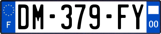 DM-379-FY