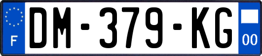 DM-379-KG