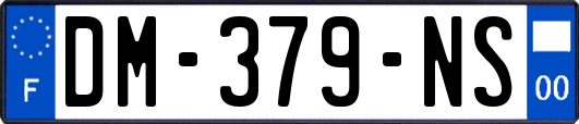DM-379-NS