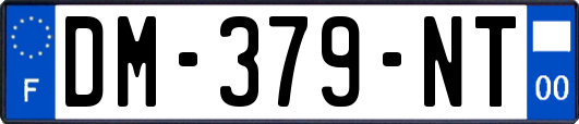 DM-379-NT