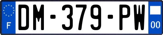 DM-379-PW