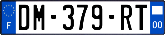 DM-379-RT