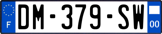 DM-379-SW