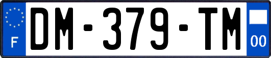 DM-379-TM