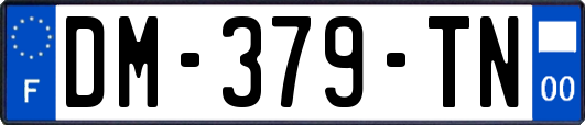 DM-379-TN