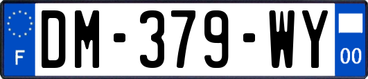 DM-379-WY