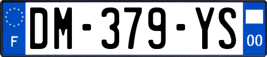 DM-379-YS