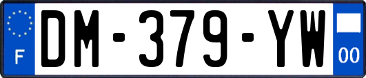 DM-379-YW