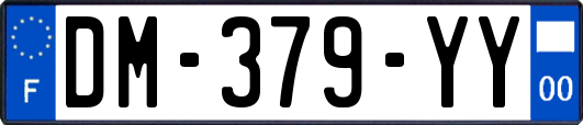 DM-379-YY