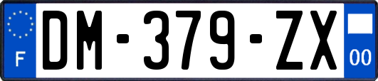 DM-379-ZX