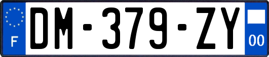 DM-379-ZY