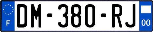 DM-380-RJ