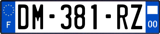 DM-381-RZ
