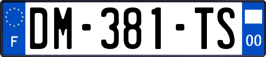 DM-381-TS