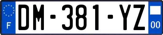 DM-381-YZ