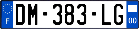 DM-383-LG