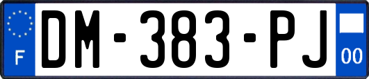 DM-383-PJ