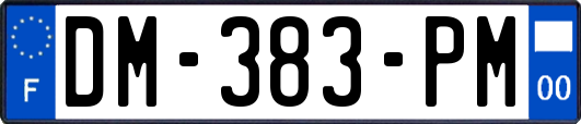 DM-383-PM