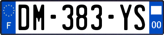 DM-383-YS