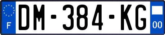 DM-384-KG
