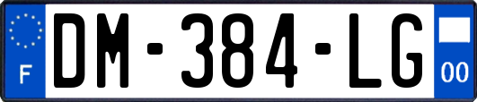 DM-384-LG