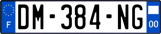 DM-384-NG