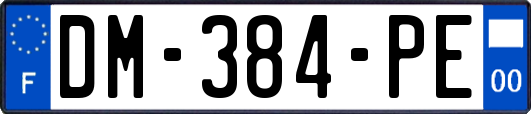 DM-384-PE