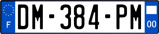 DM-384-PM