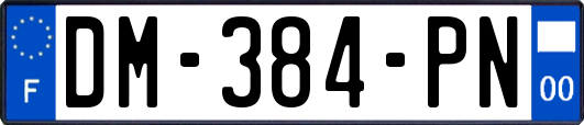 DM-384-PN