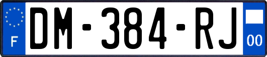 DM-384-RJ